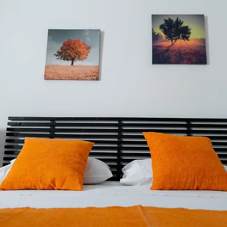 Ortensia سانيكولا