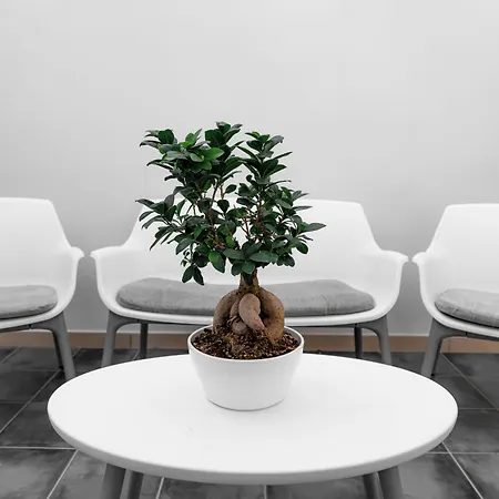 Ortensia فندق مبيت وإفطار 3*