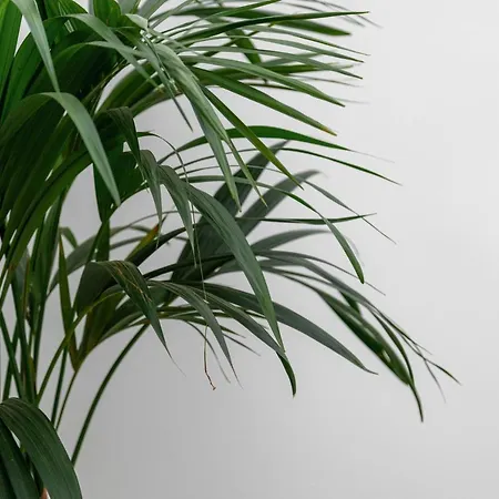 ベッド・アンド・ブレックファスト Ortensia 3*