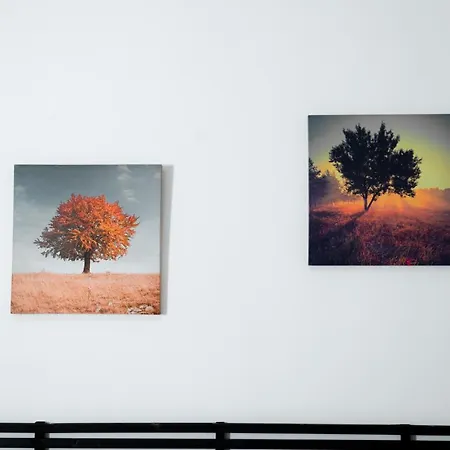 Ortensia ベッド・アンド・ブレックファスト サンニコーラ