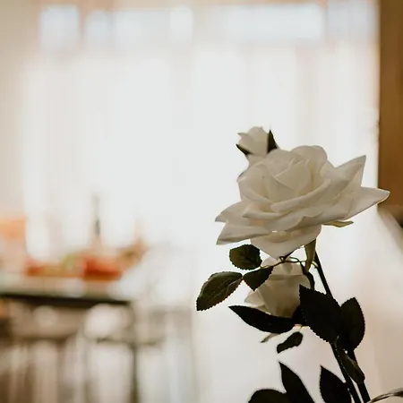 Ortensia Bed & Breakfast Sannicola