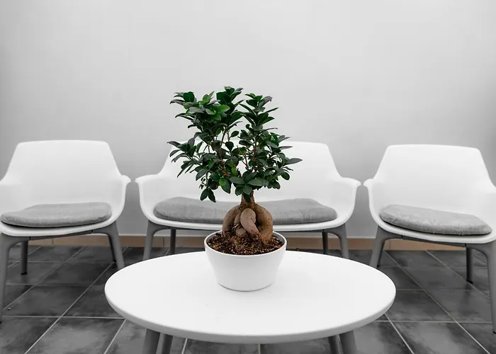 Bed & Breakfast Ortensia Sannicola