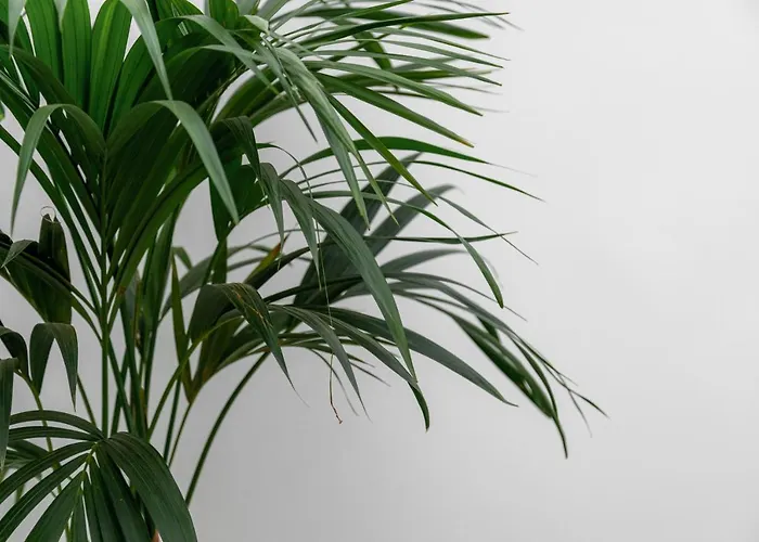 Bed & Breakfast Ortensia 3*