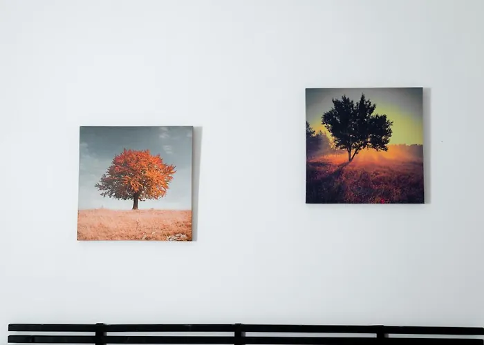 Ortensia Bed & Breakfast Sannicola