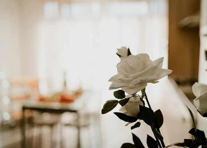 Ortensia Bed & Breakfast Sannicola